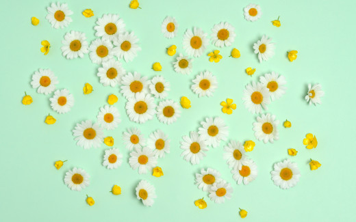 1513423 (a): :2880x1800